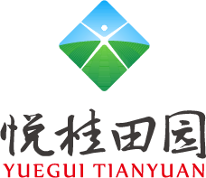 悦桂通房地产数字化营销系统